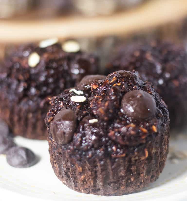 Double Chocolate Chip Oatmeal Muffins (Gluten Free) Apples for CJ