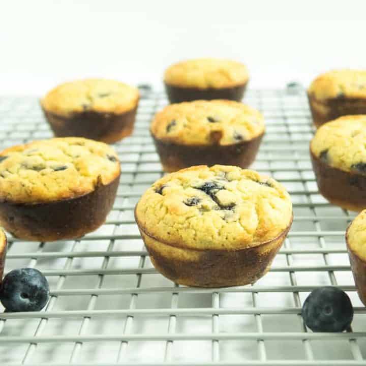 Coconut Flour Blueberry Muffins Apples for CJ