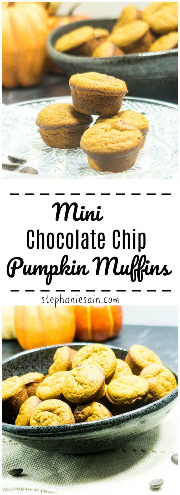 Mini Chocolate Chip Pumpkin Muffins are perfect for breakfast or snack. The perfect blend of pumpkin spice & chocolate. Made without added refined sugars, Gluten free & Vegetarian.