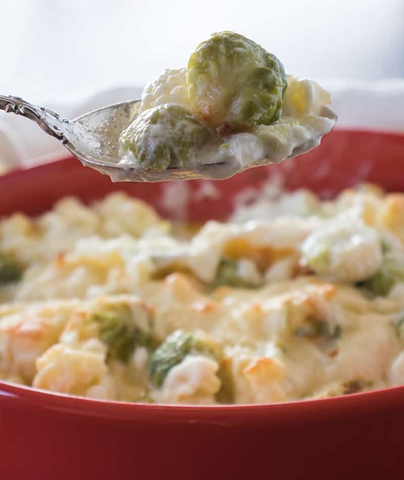 Cauliflower & Brussels Sprouts Au Gratin (Gluten Free) Apples for CJ