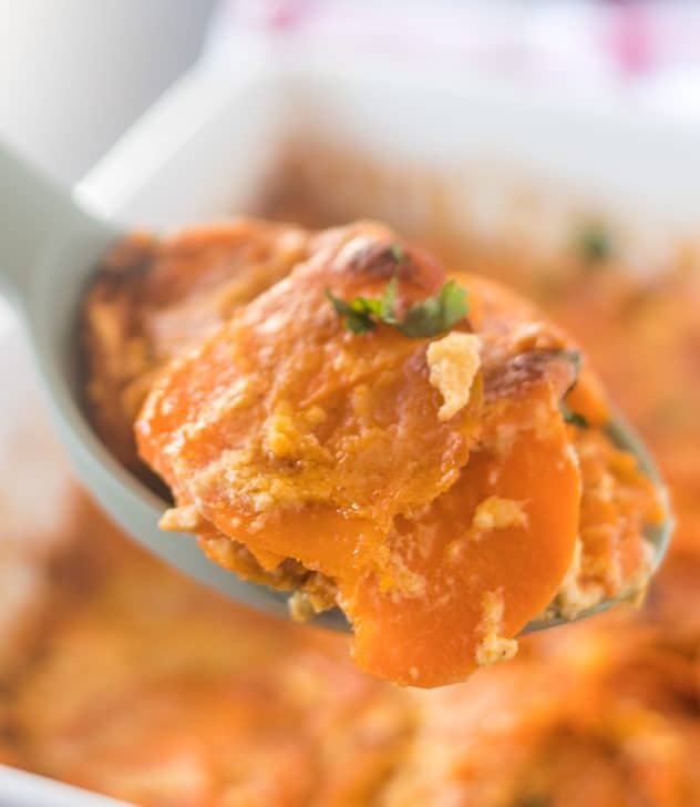 Spicy Scalloped Sweet Potatoes on a spoon.