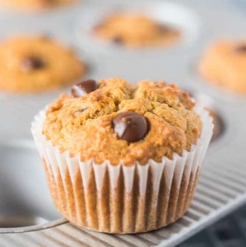 Coconut Flour Chocolate Chip Muffins in a pan with one removed and in white baking cup.