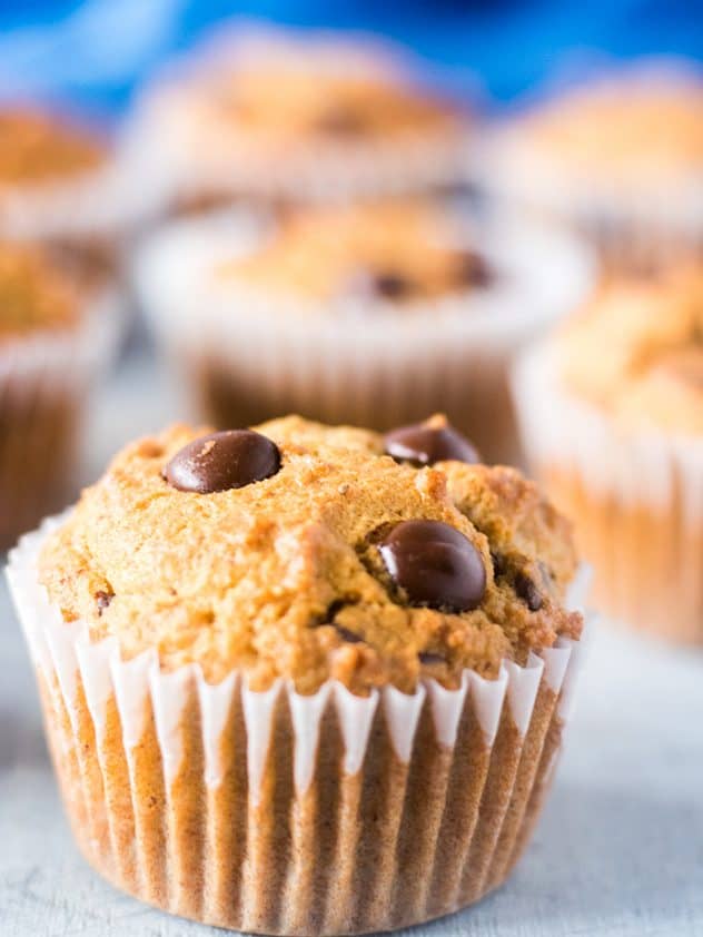 Coconut Flour Chocolate Chip Muffins in white baking cup with blue towel in background.