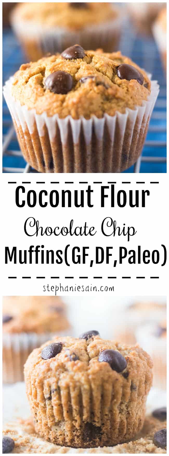 These Coconut Flour Chocolate Chip muffins are healthy, moist, tender muffins loaded with chocolate chips. Perfect for a grab & go breakfast or snack. Gluten Free, Dairy Free & No Added Refined Sugars.