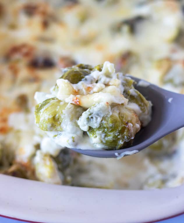 brussel sprouts au gratin on a spoon