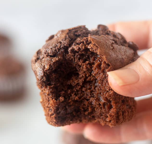 chocolate muffin 