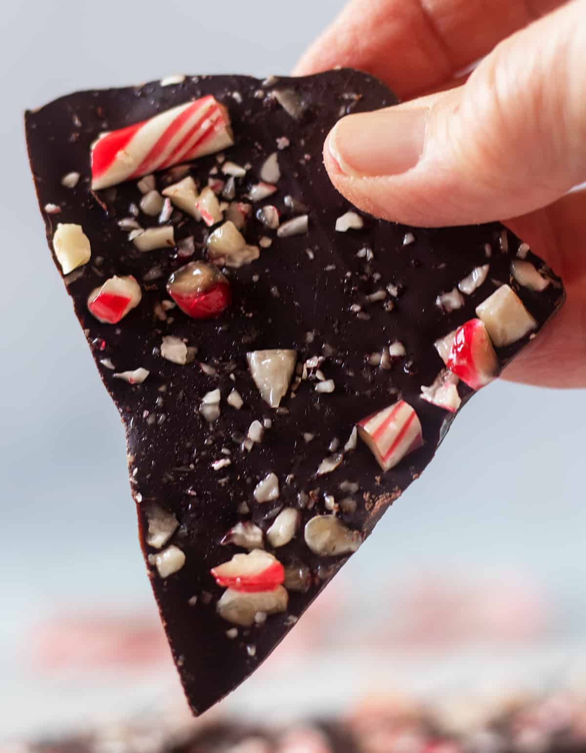 holding a piece of dark chocolate peppermint bark in hand