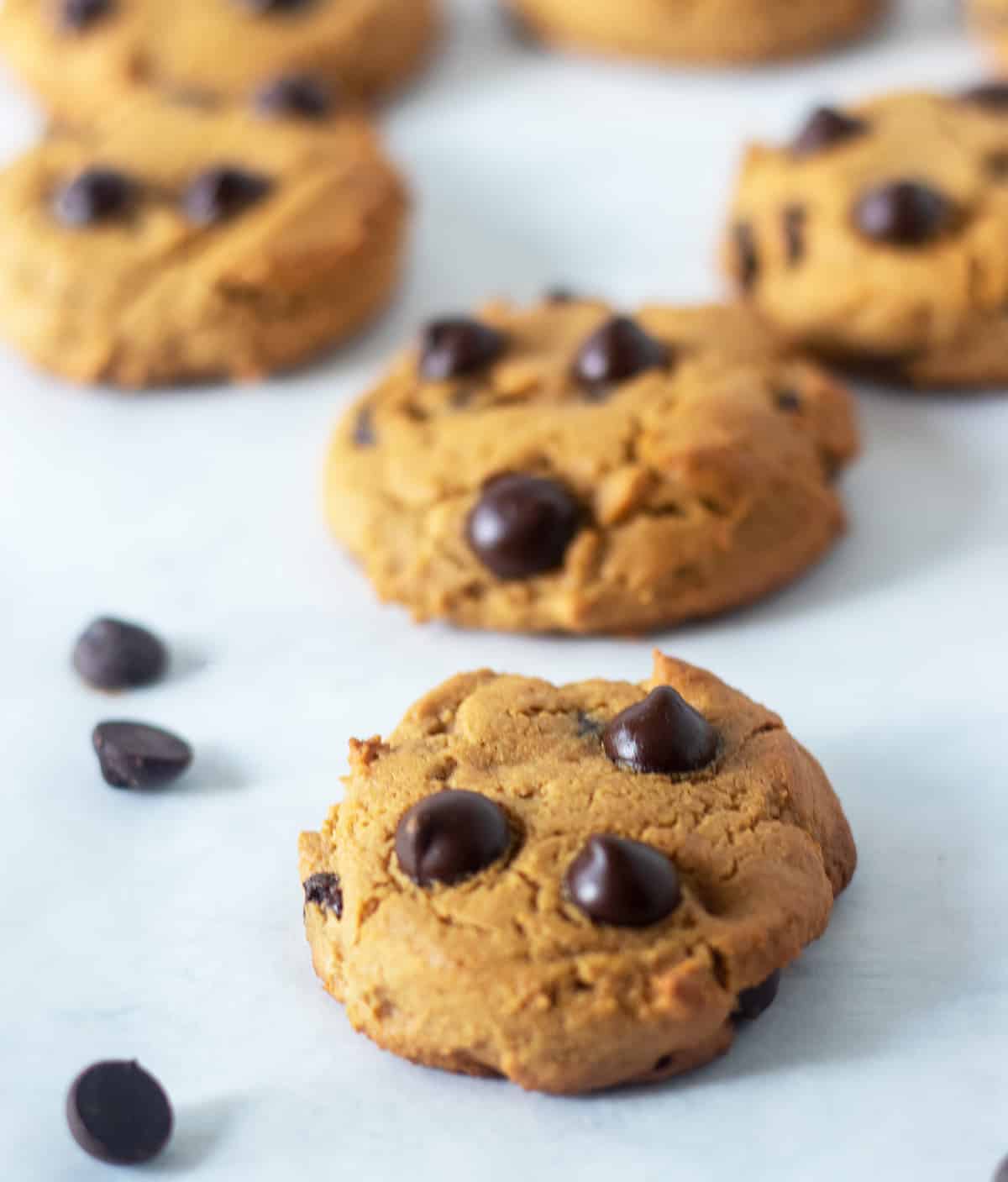 coconut flour chocolate chip cookies after being cooked on a parchment lined baking pan with chocolate chips beside them.