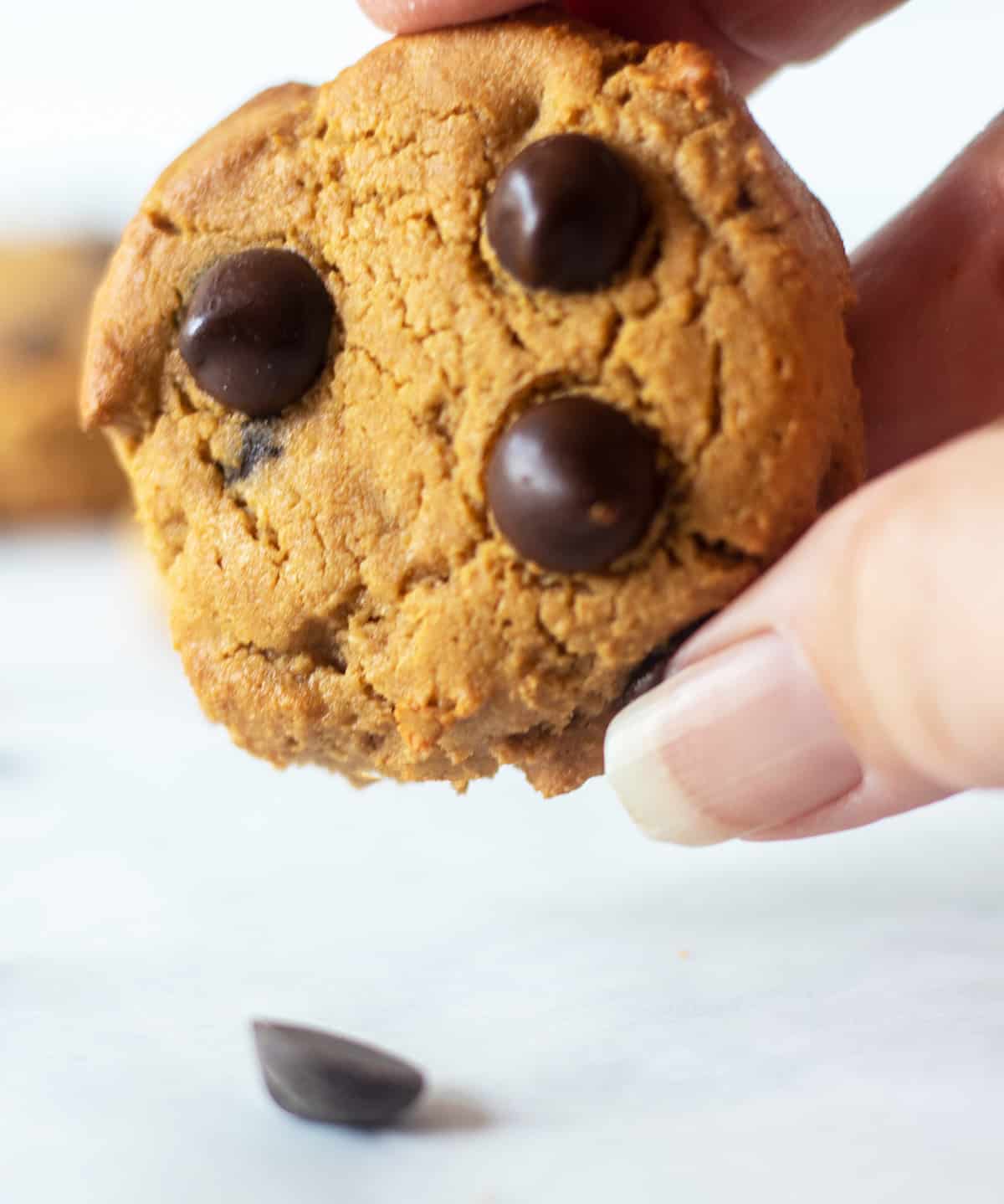 holding a coconut flour chocolate chip cookie in a hand.