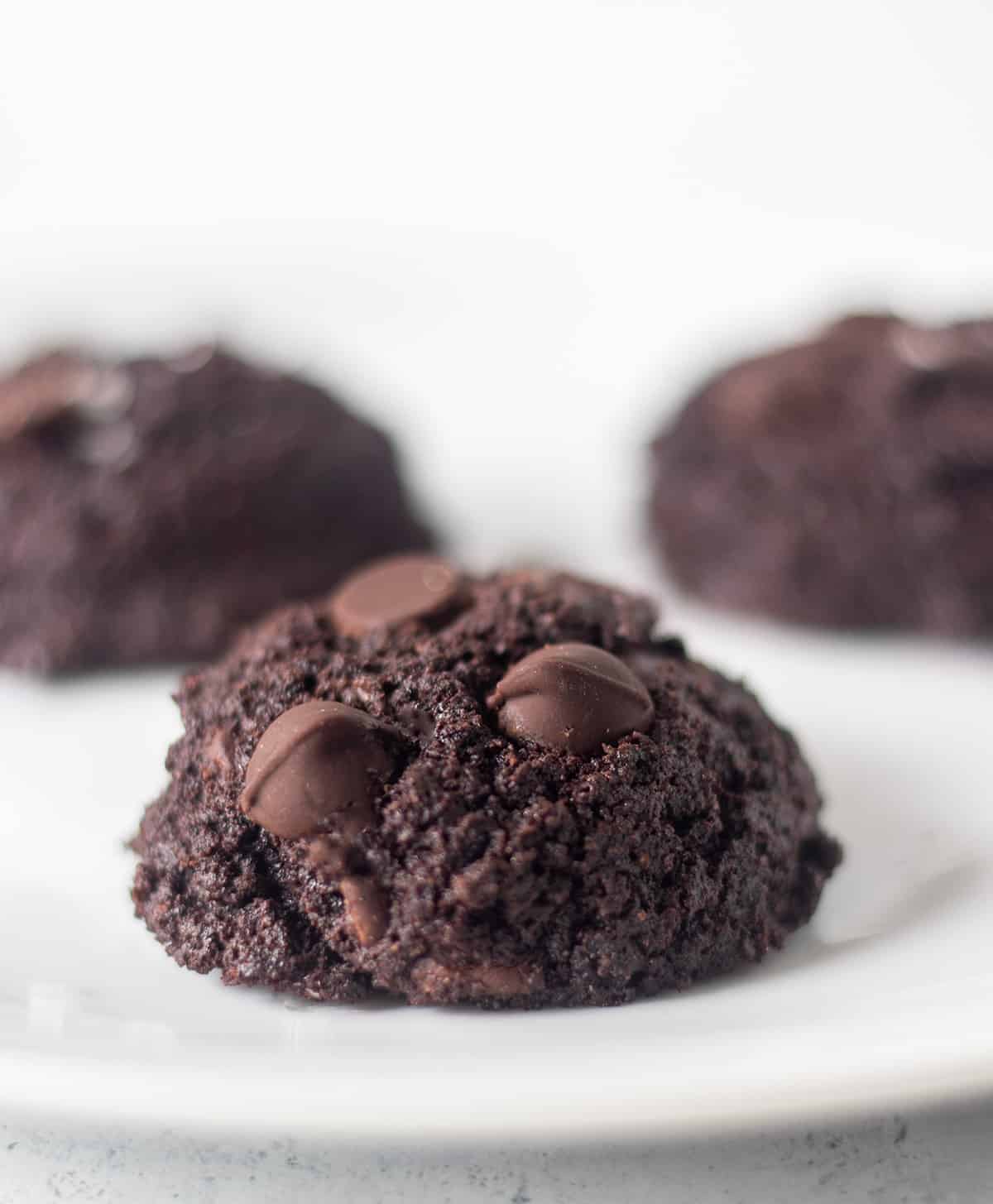 Chocolate coconut flour cookies recipe with cookies on a white plate that are topped with extra chocolate chips.