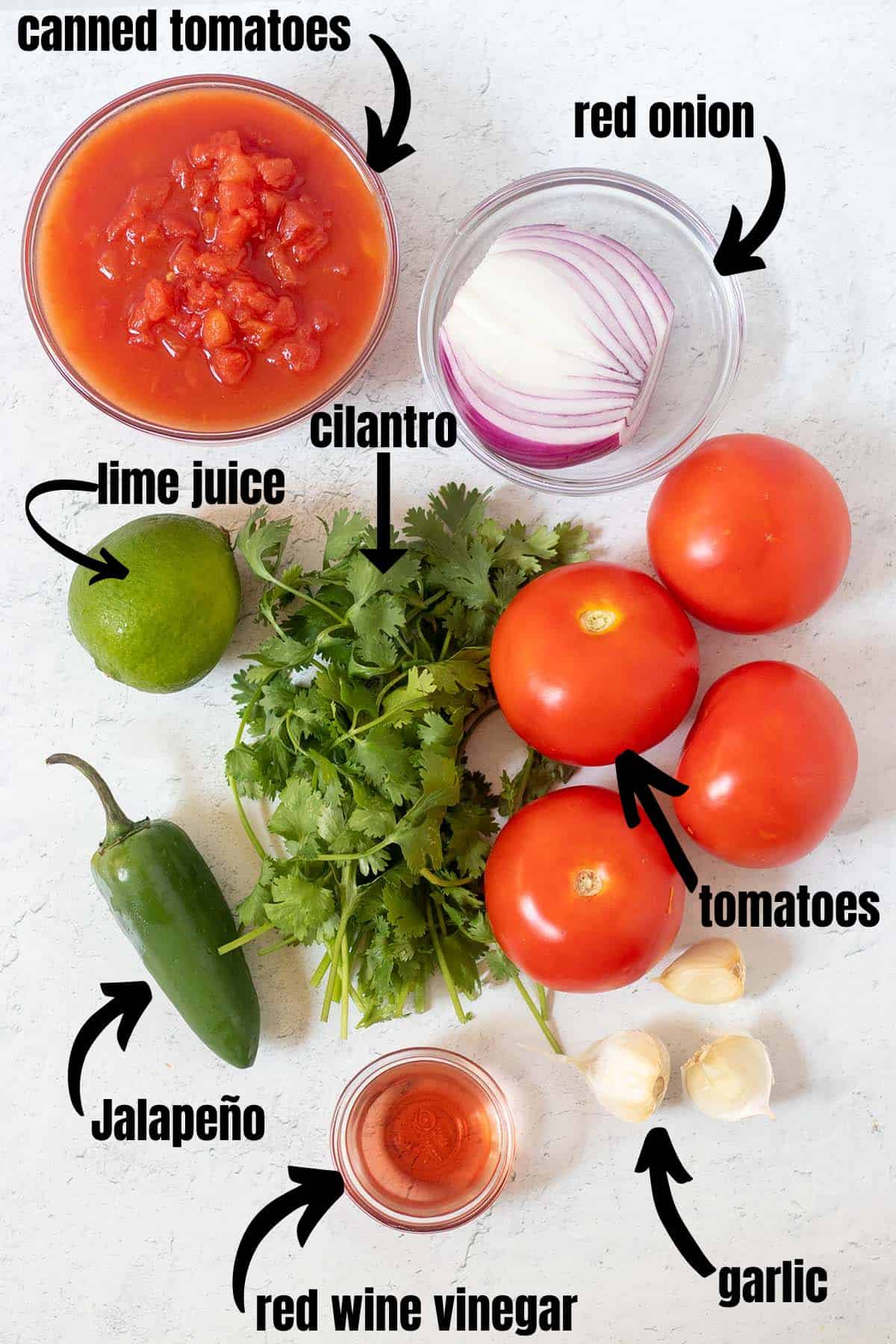 Homemade salsa recipe ingredients. Canned tomatoes, red onion, cilantro, a lime, fresh tomatoes, jalapeno, garlic and red wine vinegar.