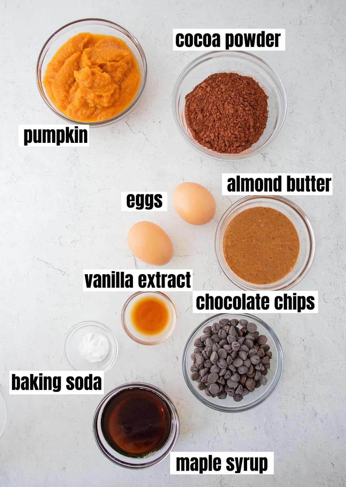 ingredients for pumpkin brownies which include pumpkin, cocoa powder, eggs, almond butter, vanilla extract, chocolate chips, baking soda and maple syrup.